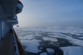 Unterwegs in der Arktis