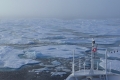Unterwegs in der Arktis