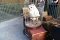 Universal Studios: Hedwig