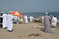 Muscat: Fischmarkt in Barkha