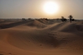 Abu Dhabi: Sonnenaufgangstour in der Wüste