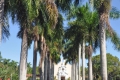 Miami: Congregational Church