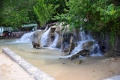 Falmouth: Dunns River Falls