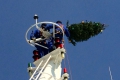 AIDAaura mit Weihnachtsbaum