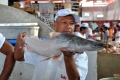 Belém: Fischmarkt