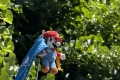 Assistent Mario