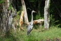 Everglades Nationalpark