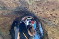 Bioparc Valencia - Höhlensystem