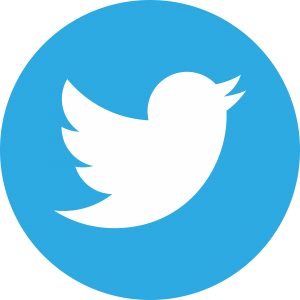 Logo TWITTER